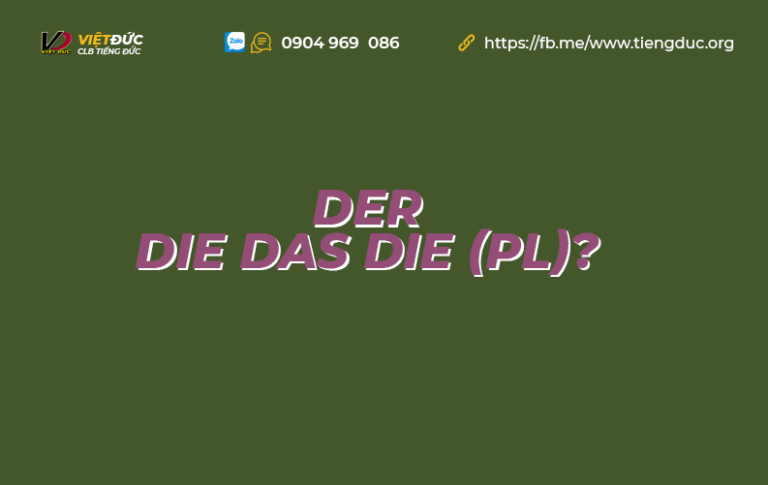 der die das die Quiz Post