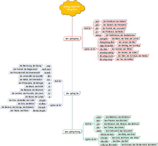 Sơ đồ tư duy giống của danh từ tiếng Đức