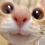 Ảnh hồ sơ của Thư