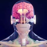 Ảnh hồ sơ của Duy Hồ Võ